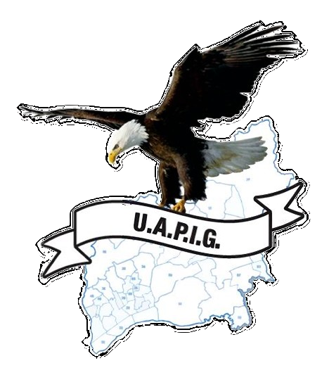 AGUIA_UAPIG_-_Logo_19_06_25_PNG